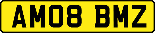 AM08BMZ