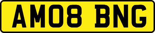 AM08BNG