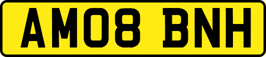 AM08BNH