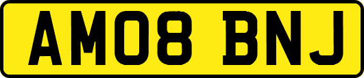 AM08BNJ