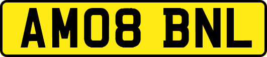 AM08BNL