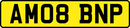 AM08BNP