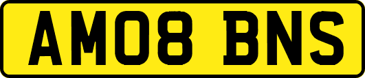 AM08BNS