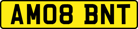 AM08BNT