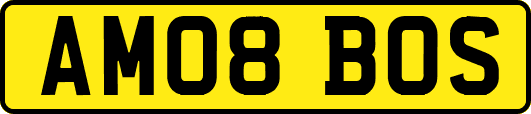 AM08BOS