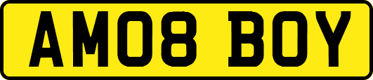 AM08BOY