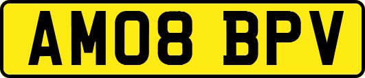 AM08BPV