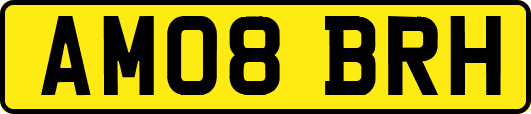 AM08BRH