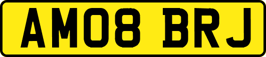 AM08BRJ