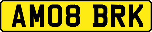 AM08BRK