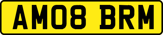 AM08BRM