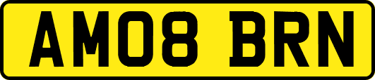 AM08BRN
