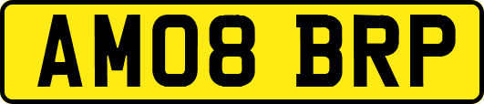 AM08BRP