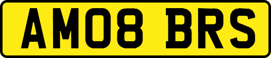 AM08BRS