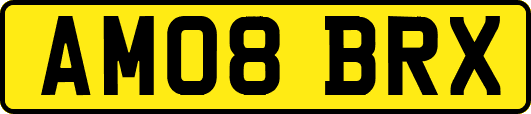 AM08BRX