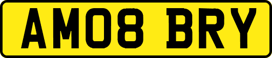 AM08BRY