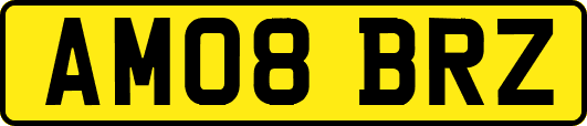 AM08BRZ