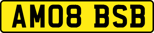 AM08BSB