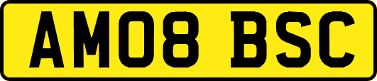 AM08BSC