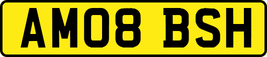 AM08BSH