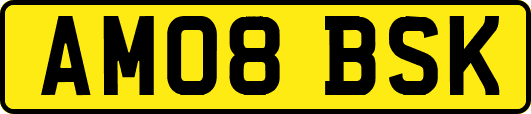 AM08BSK