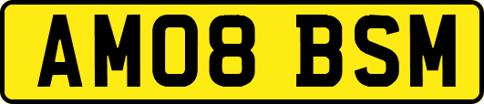 AM08BSM