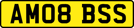 AM08BSS