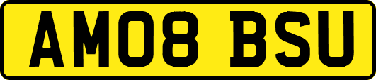 AM08BSU