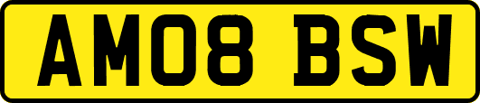 AM08BSW