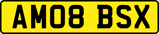 AM08BSX