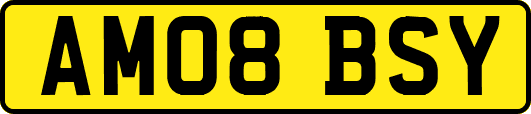 AM08BSY