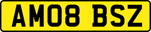 AM08BSZ
