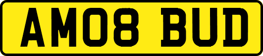 AM08BUD