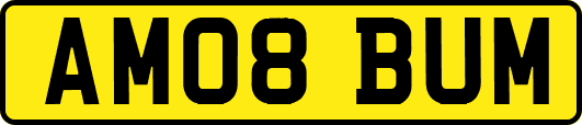 AM08BUM