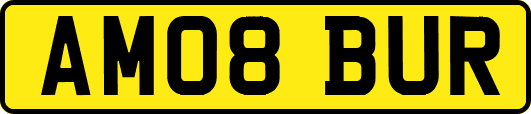 AM08BUR