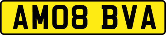 AM08BVA