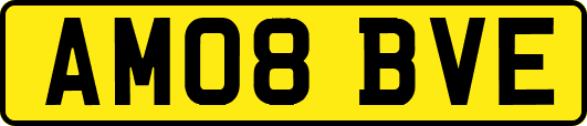 AM08BVE