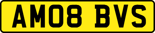 AM08BVS