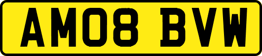AM08BVW