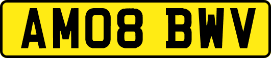 AM08BWV