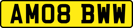 AM08BWW