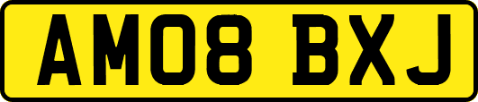 AM08BXJ