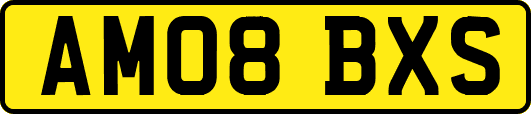 AM08BXS