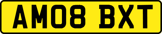AM08BXT