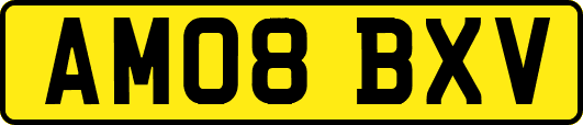 AM08BXV