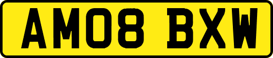 AM08BXW