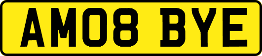 AM08BYE