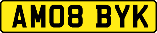 AM08BYK