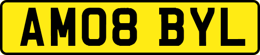 AM08BYL