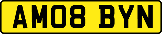 AM08BYN